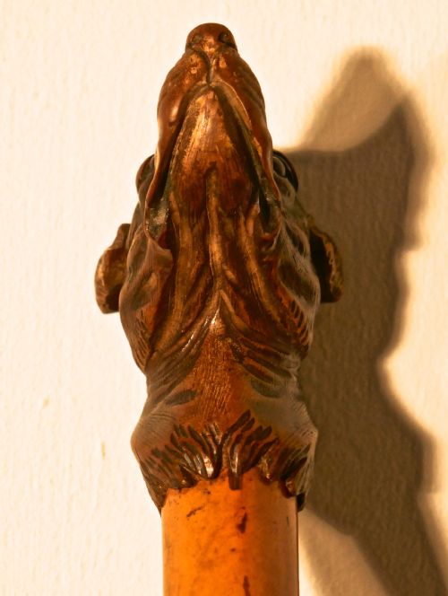 fig 2. Malacca Cane with Carved Dog Head and Silver Collar