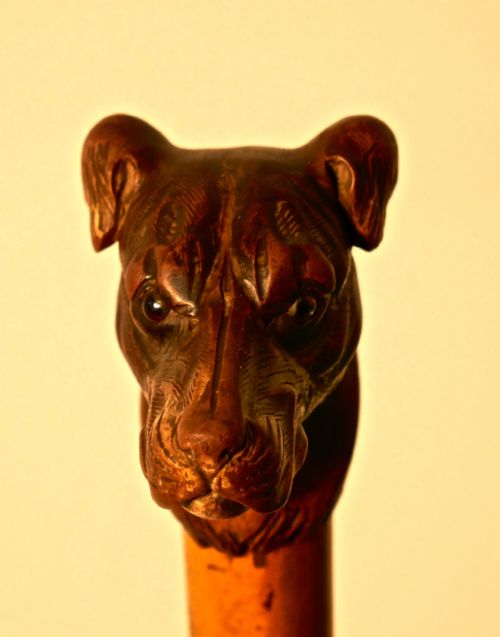fig 3. Malacca Cane with Carved Dog Head and Silver Collar