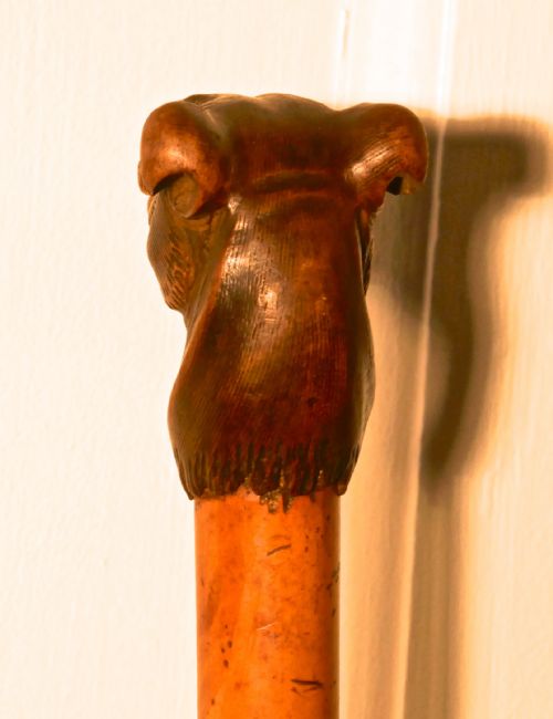 fig 4. Malacca Cane with Carved Dog Head and Silver Collar