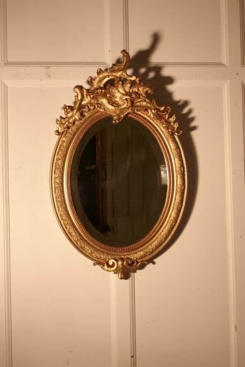 fig 3. A Dainty French Rococo Oval Gilt Wall Mirror