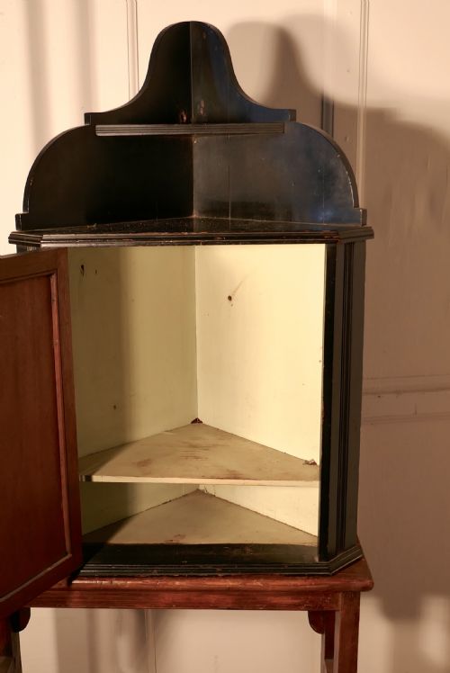 fig 3. Victorian Painted Ebonised Corner Cabinet