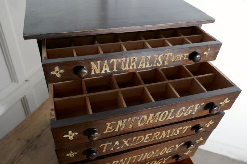 fig 1. Small Natural History Collectors Cabinet, Drawers by A W Gamage LTD