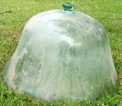 fig 3. 19th Century French Hand Made Glass Melon Cloche, cloche à melon ancienne