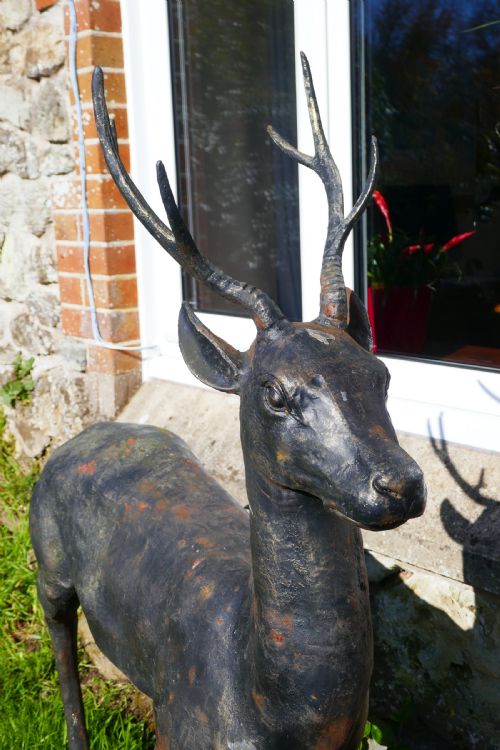 fig 2. A Large Weather Worn Cast iron Statue of a Young Stag,
