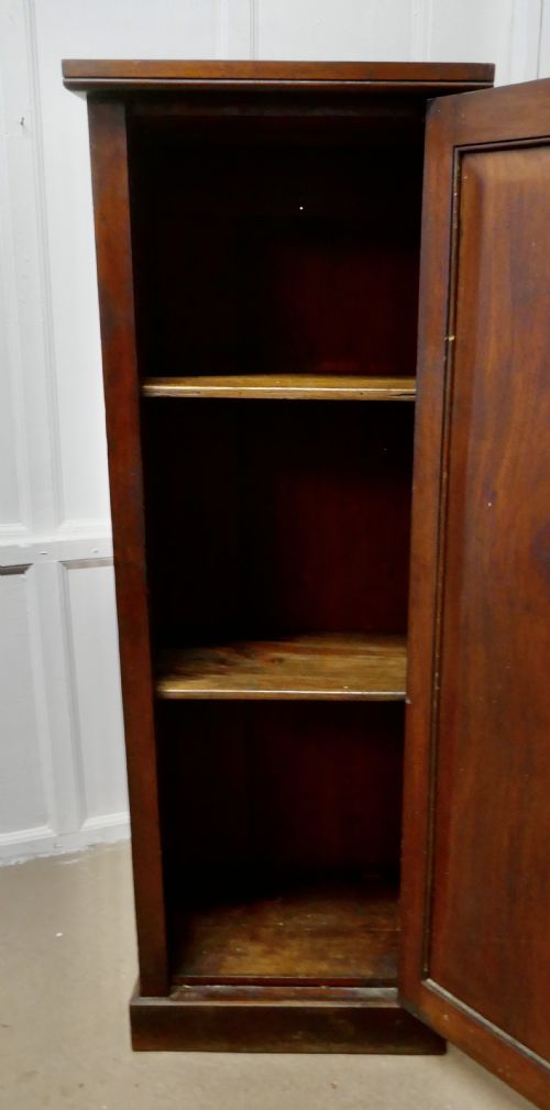 fig 2. Victorian Mahogany Tall Shelved Shop Cupboard,