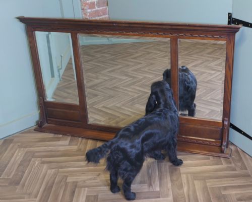 OLD CHARM OAK OVERMANTEL TRIPLE MIRROR - ADDITIONAL PHOTO 1