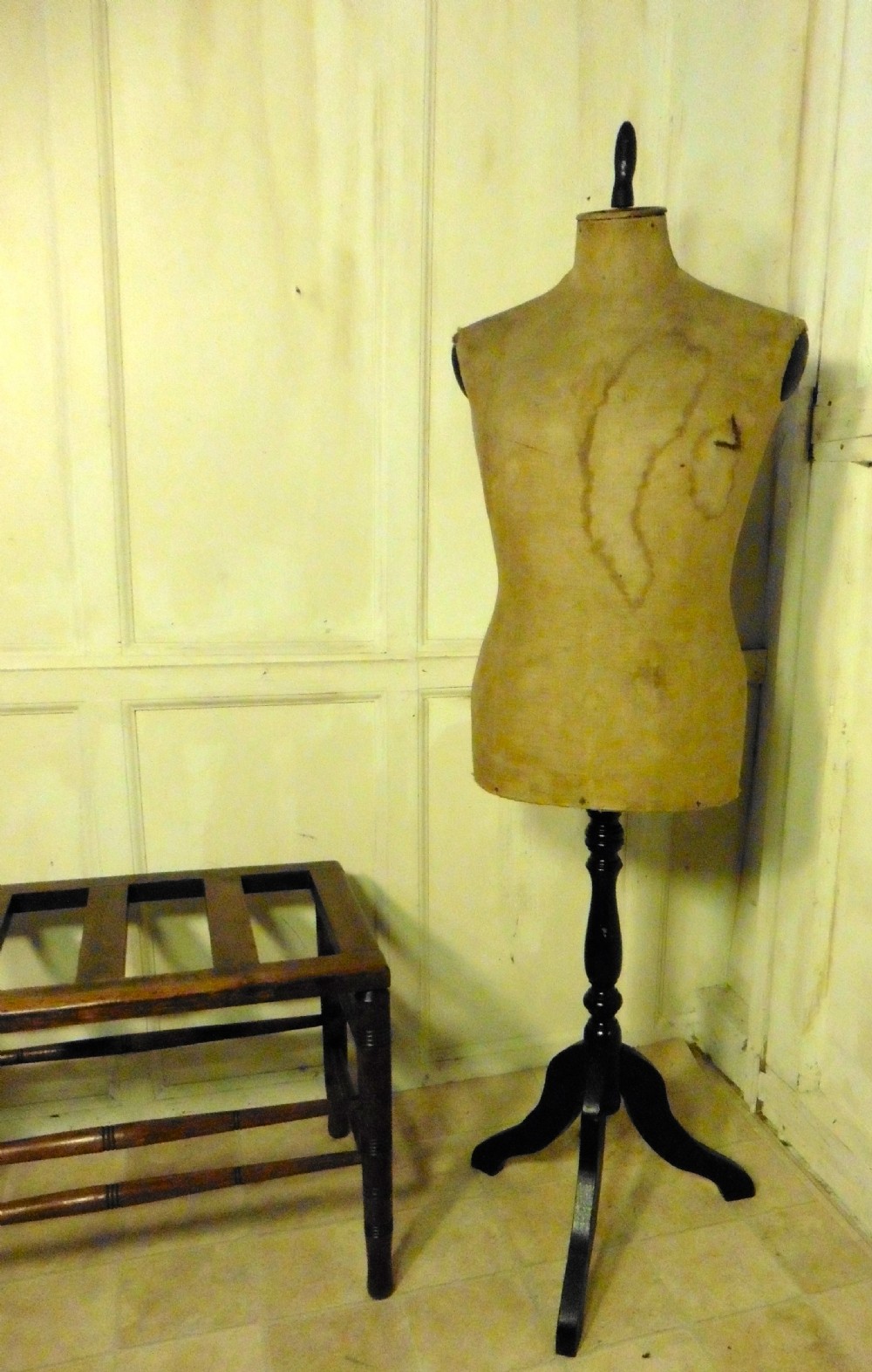 A French Male Mannequin 