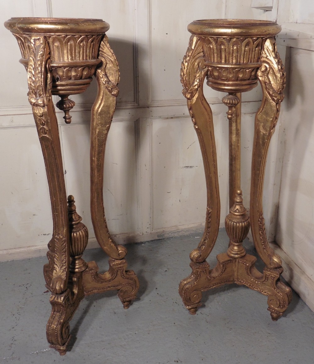 A Stunning Pair of Large French Gilt Wood Jardiniere