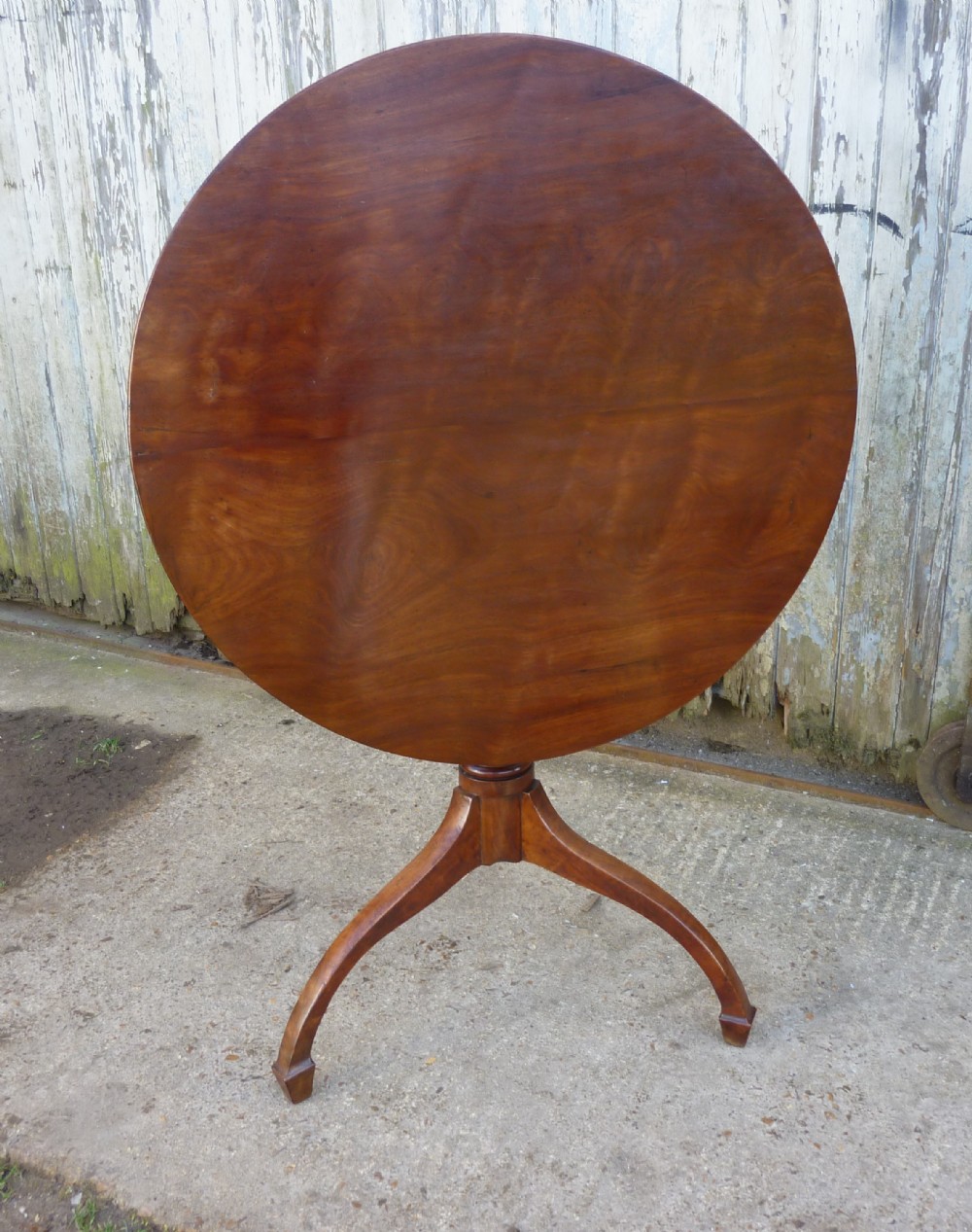 Georgian Yew Wood Tilt Top Table