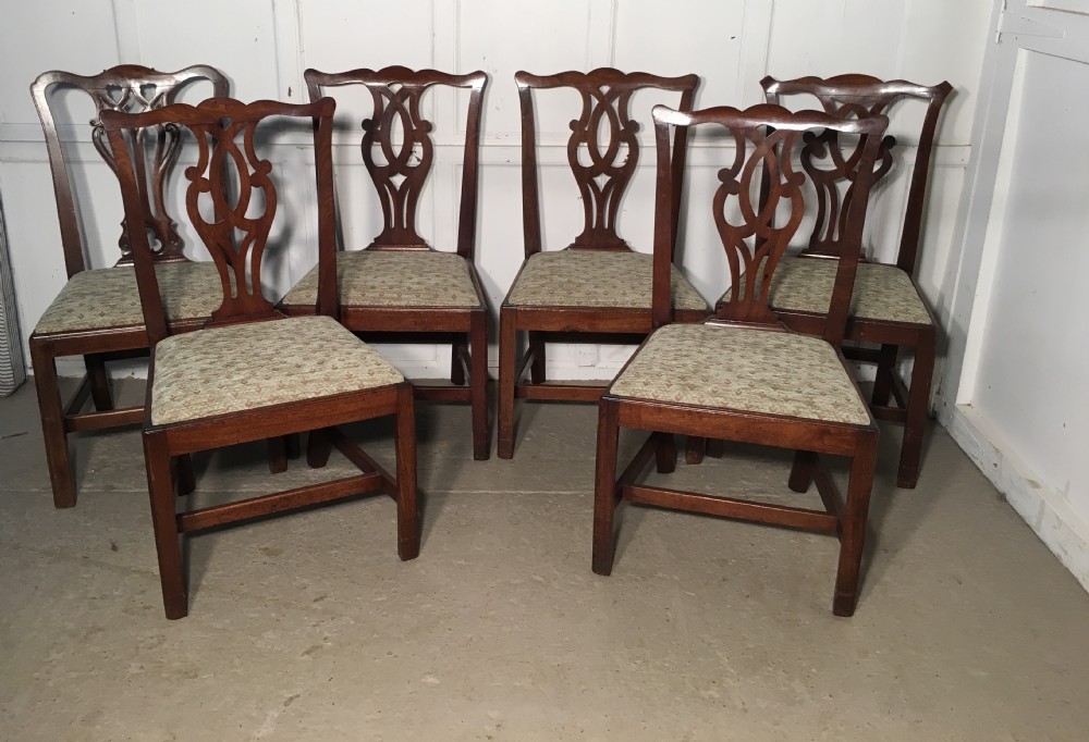 A Harlequin Set of 6 Georgian Chippendale Mahogany Dining Chairs 