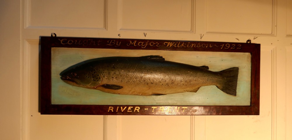 Mounted Taxidermy of a Trout from the River Trent 1922 View II