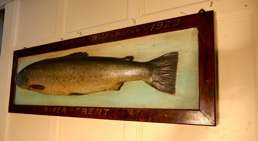 Mounted Taxidermy of a Trout from the River Trent 1922 View III