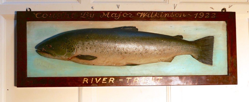 Mounted Taxidermy of a Trout from the River Trent 1922 View V
