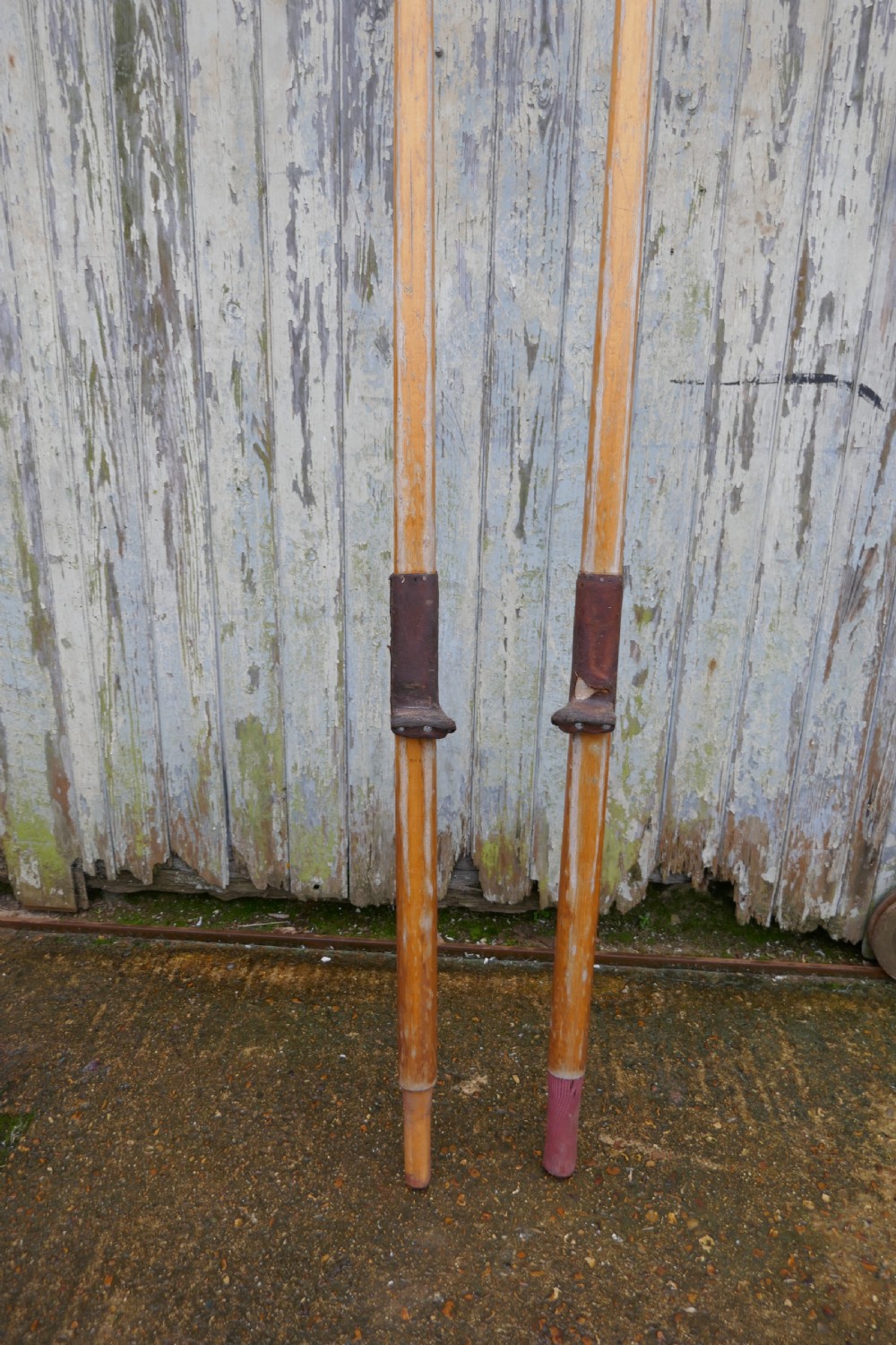 A Pair of Decorative Very Long Sculling Oars View IV