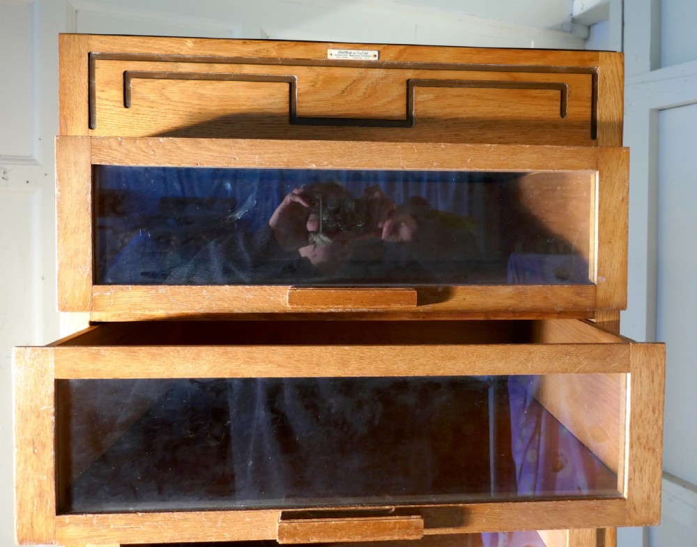 Vintage Art Deco Tall Haberdashery Cabinet, Shop Fitting View VI
