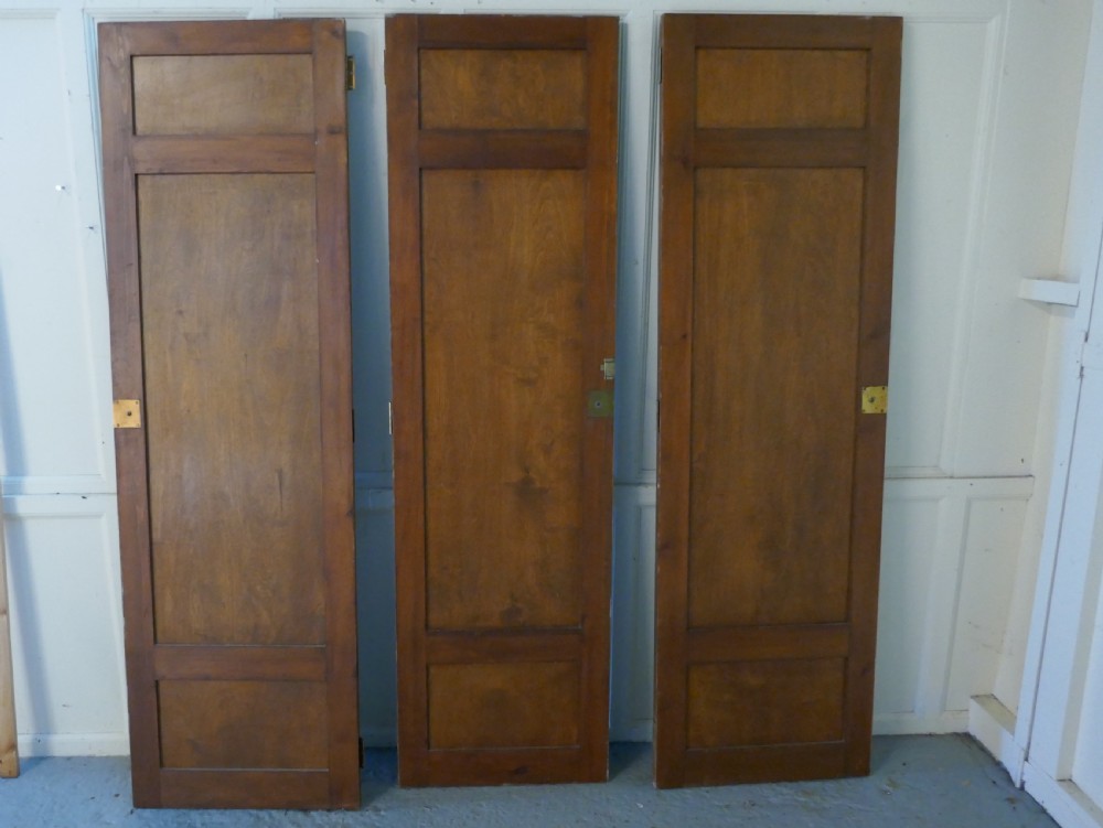 Decorative French Painted Doors View VI