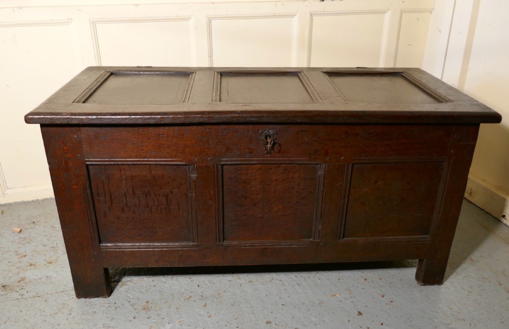 18th Century  Panelled Oak Coffer  View II