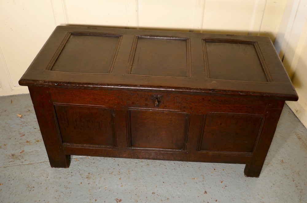 18th Century  Panelled Oak Coffer  View VII