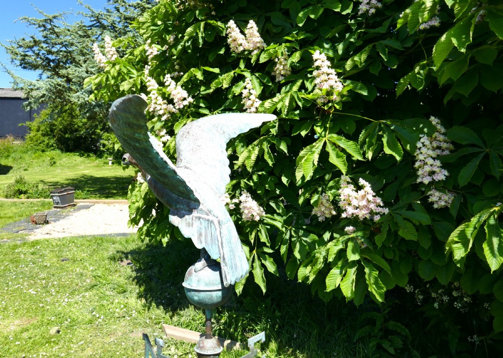 Early 19th Century Copper Eagle, Weather Vane View XI