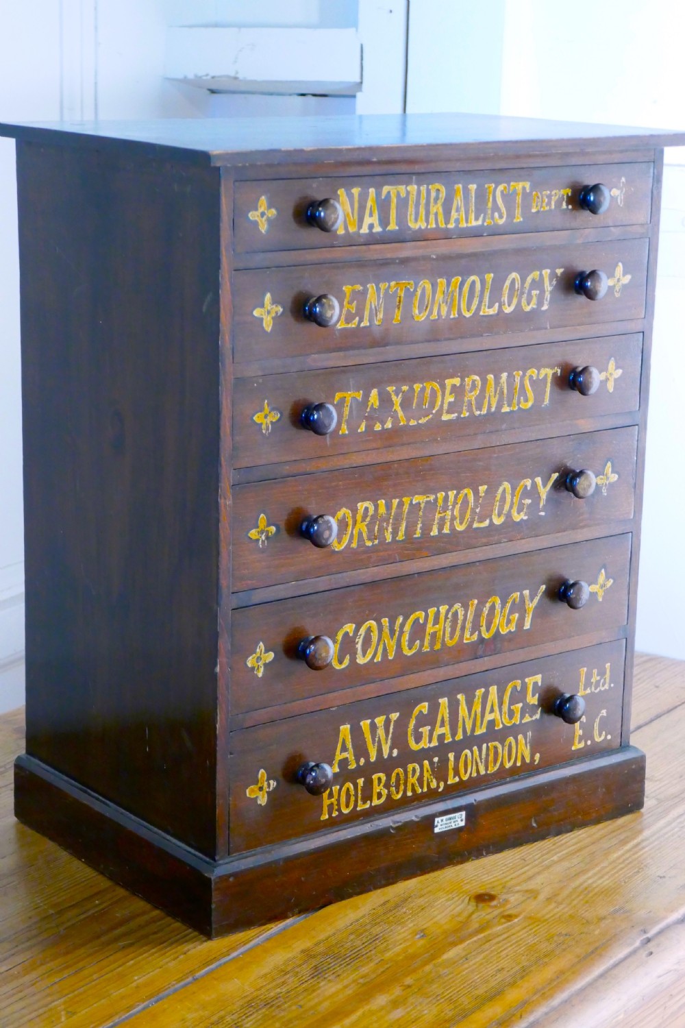 Small Natural History Collectors Cabinet, Drawers by A W Gamage LTD View VI