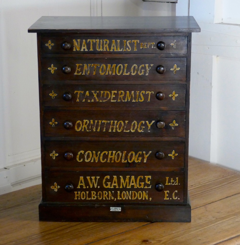 Small Natural History Collectors Cabinet, Drawers by A W Gamage LTD View VIII