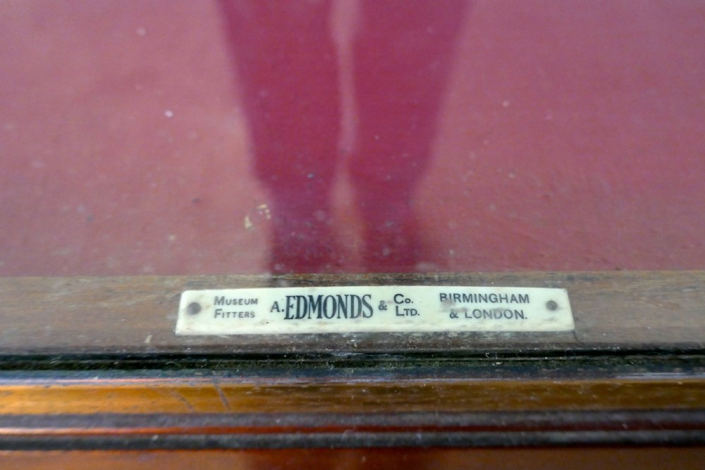 A Large Brass and Mahogany Museum Display Cabinet  View IV