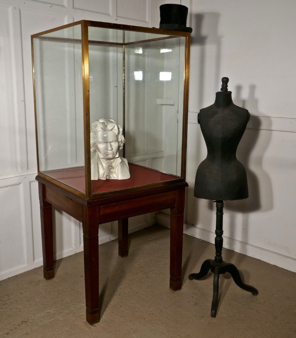 A Large Brass and Mahogany Museum Display Cabinet  View V