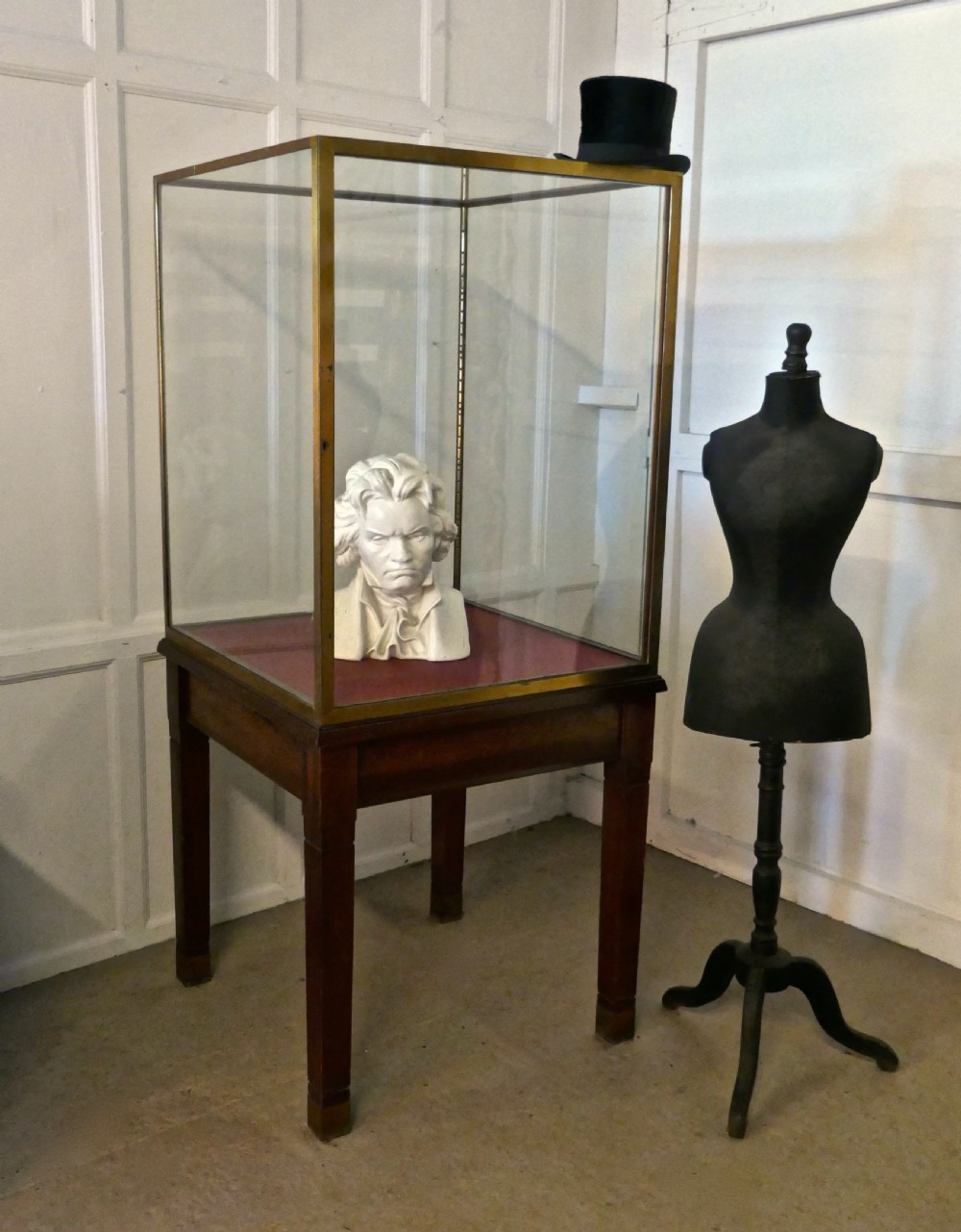 A Large Brass and Mahogany Museum Display Cabinet  View VI
