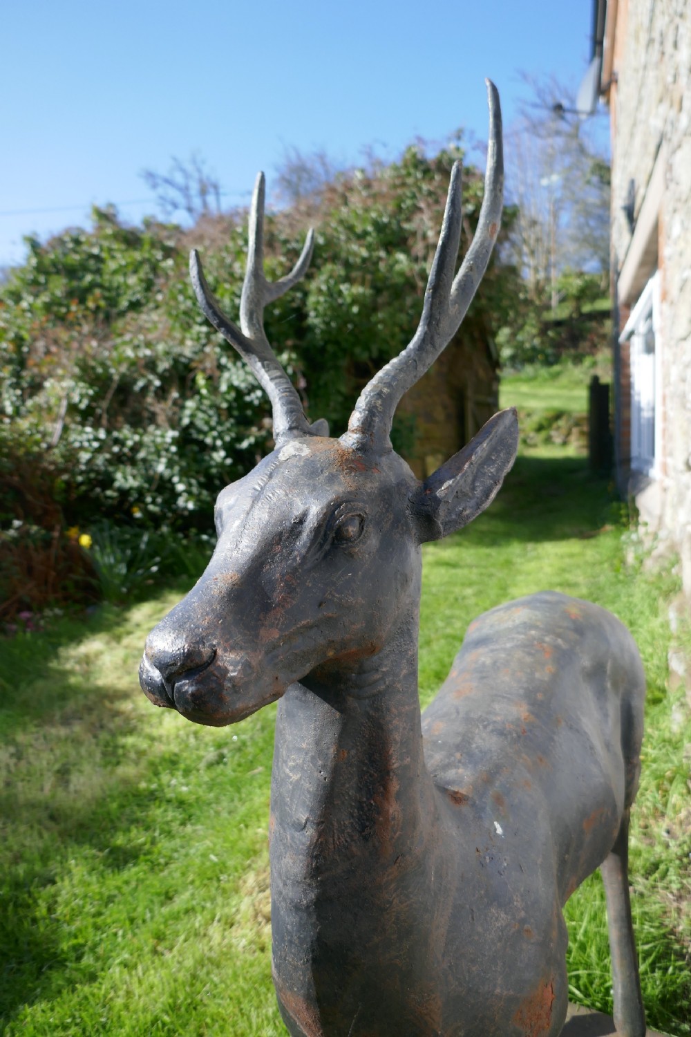 A Large Weather Worn Cast iron Statue of a Young Stag,  View V