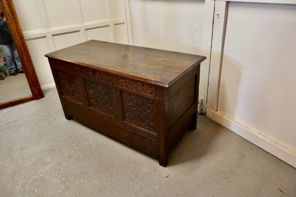 Large 18th Century Carved Oak Mule Chest, Marriage Chest View V