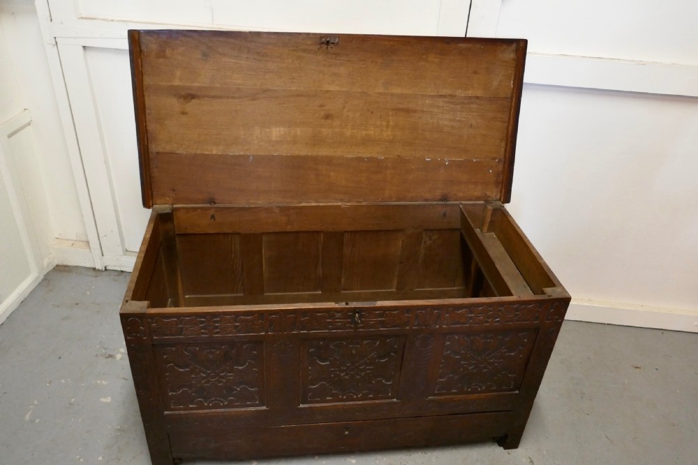 Large 18th Century Carved Oak Mule Chest, Marriage Chest View VII