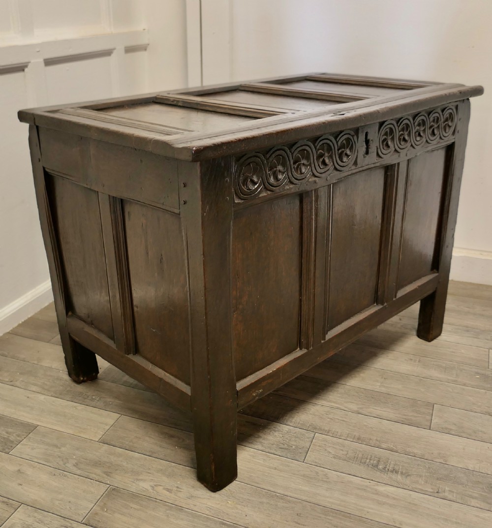 Small 17th century Panelled Cottage Size Oak Coffer  View III