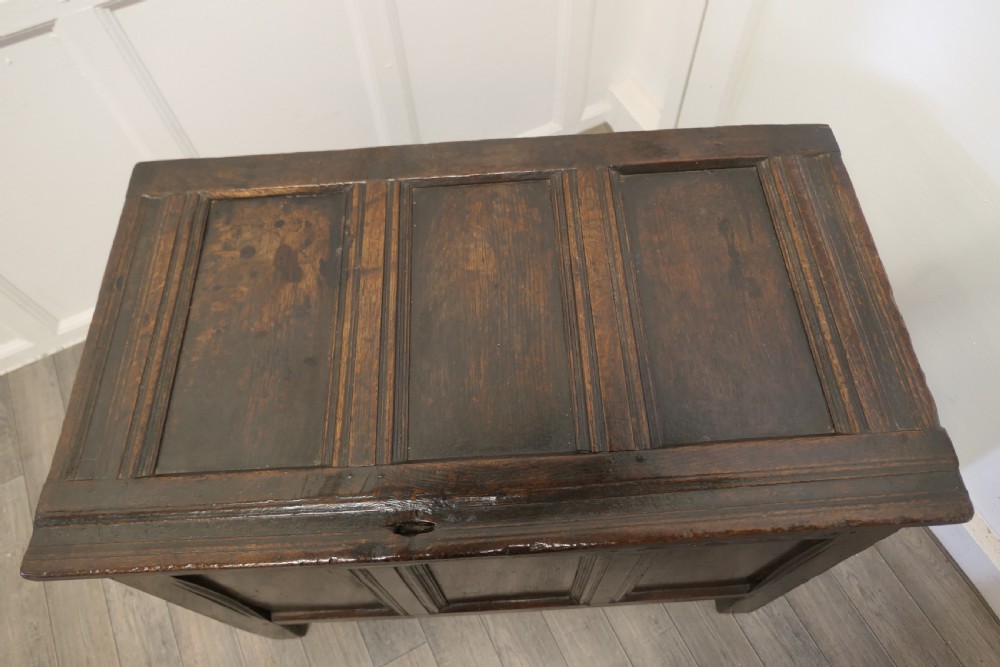 Small 17th century Panelled Cottage Size Oak Coffer  View IV
