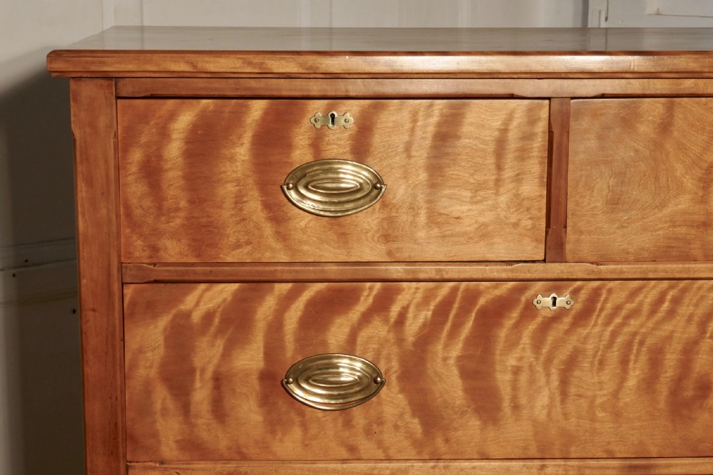 Large 19th Century Birch Chest of Drawers View X