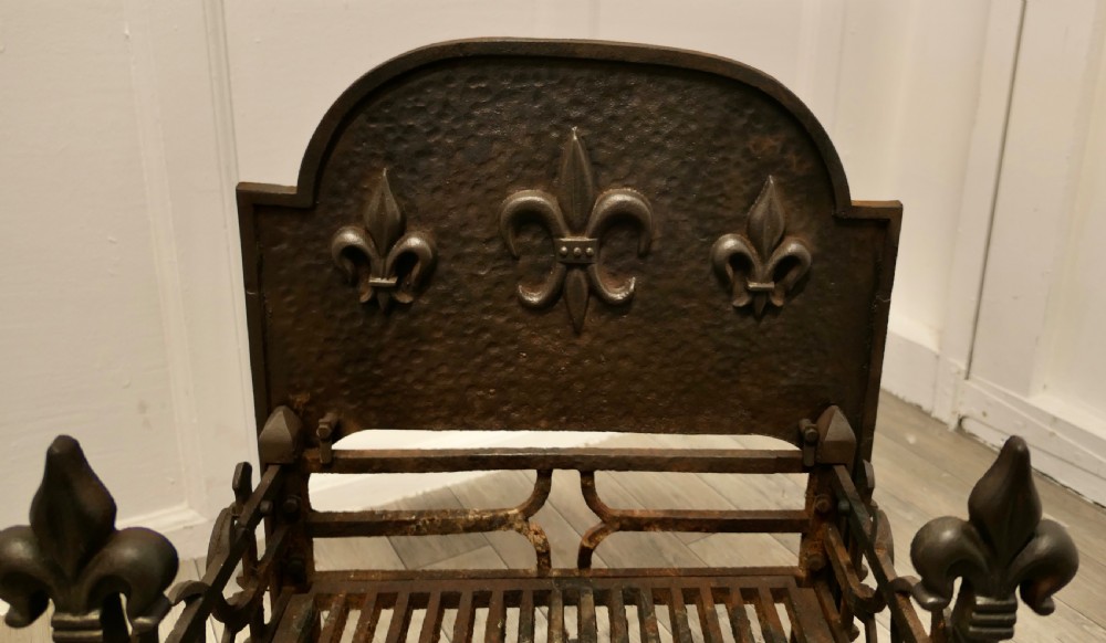 Large Free Standing Fire Grate with Fireback View IV