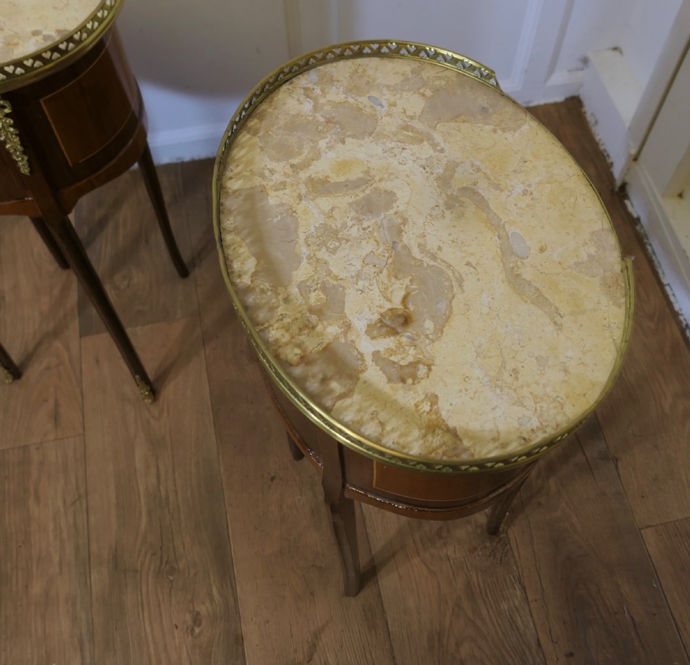 A Pair of French 19th Century Oval Side Tables or Bedside Cabinets   View VII