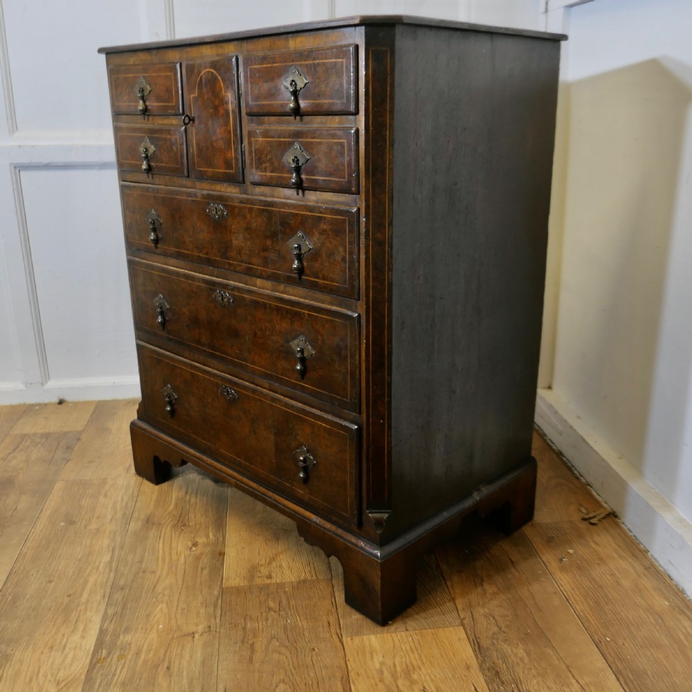 A tall burr walnut chest of drawers featuring a central arched cupboard door, crossbanded drawer fronts, brass drop handles, and bracket feet. View VI