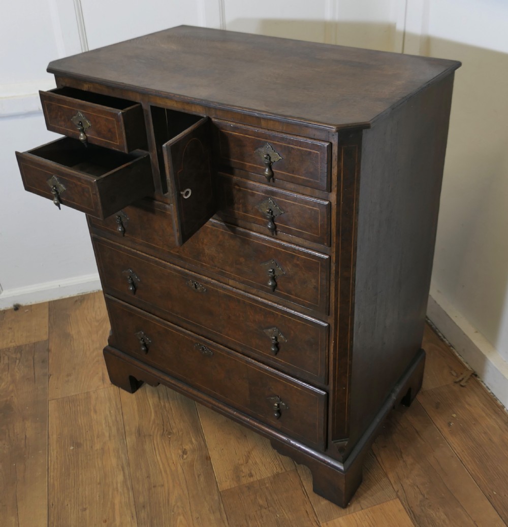 A tall burr walnut chest of drawers featuring a central arched cupboard door, crossbanded drawer fronts, brass drop handles, and bracket feet. View VII
