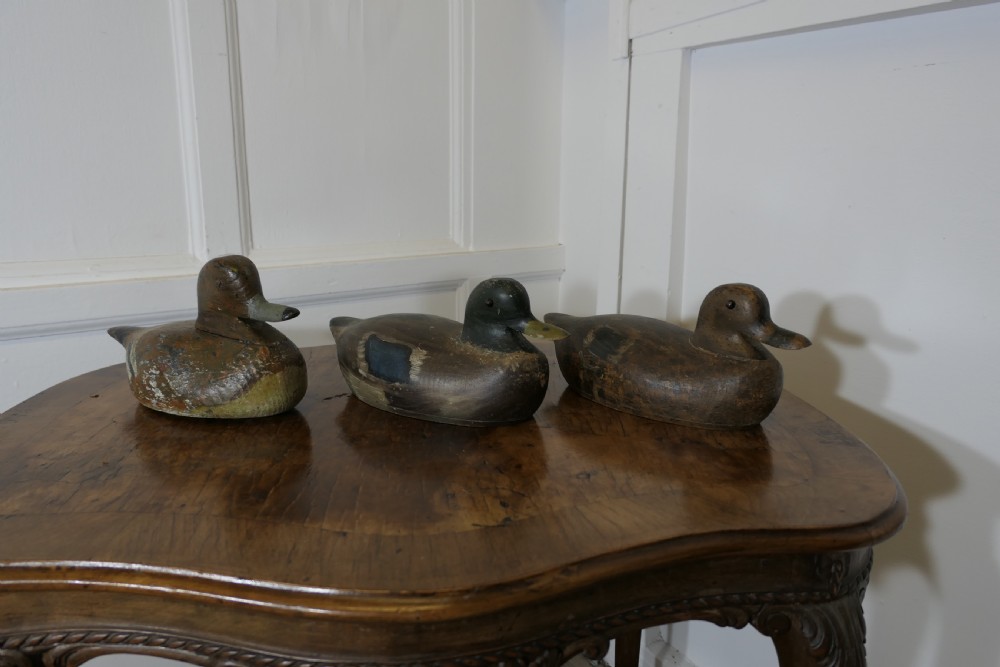 Three hand-carved and painted wooden decoy ducks with weathered finishes rest on a polished timber surface.