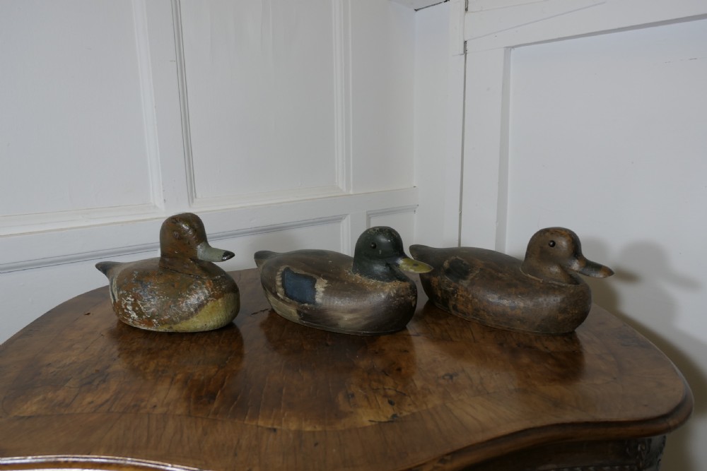 Three hand-carved and painted wooden decoy ducks with weathered finishes rest on a polished timber surface. View II