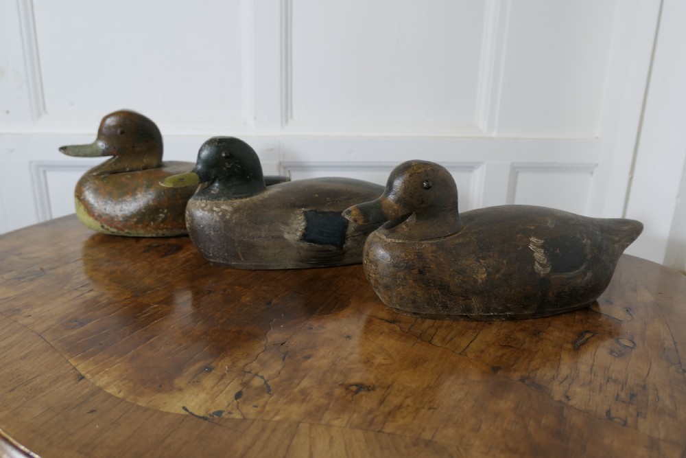 Three hand-carved and painted wooden decoy ducks with weathered finishes rest on a polished timber surface. View III