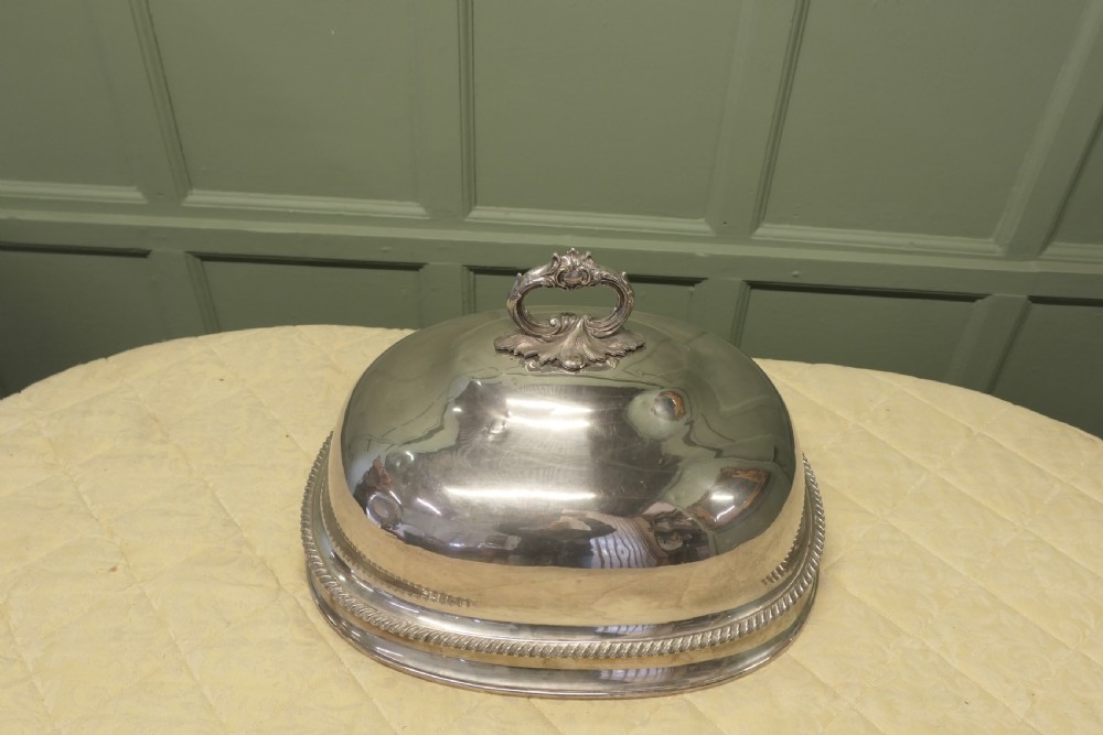 Huge 19th century Dome Meat Cover  View IV