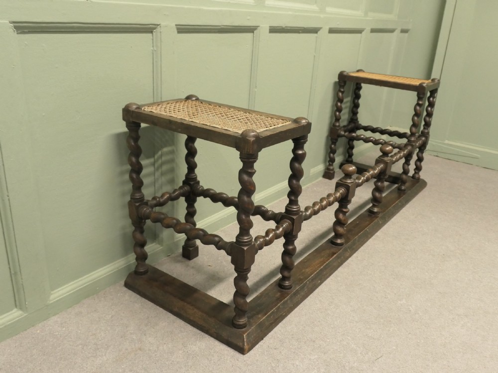 A Gothic Oak Barley Twist Bergere Club Fender View II