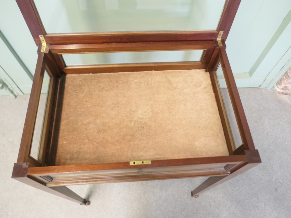 Edwardian Display Cabinet, Table Jewellery etc. View VII