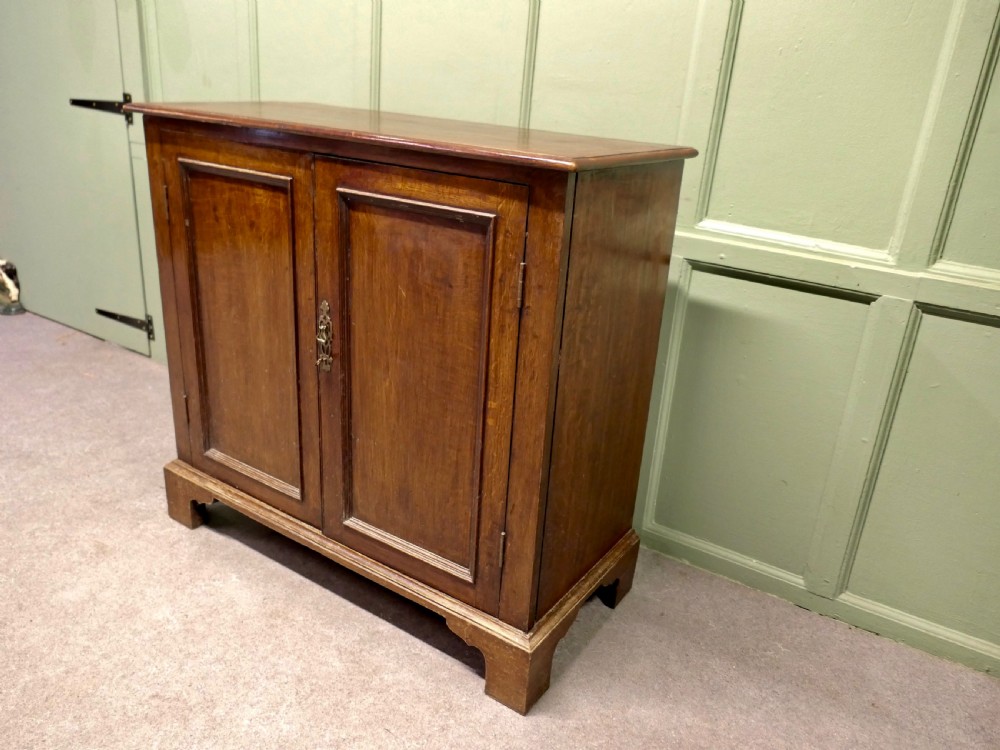 19th Century Oak Shelved Lockable Cupboard with Drawer Inside View III