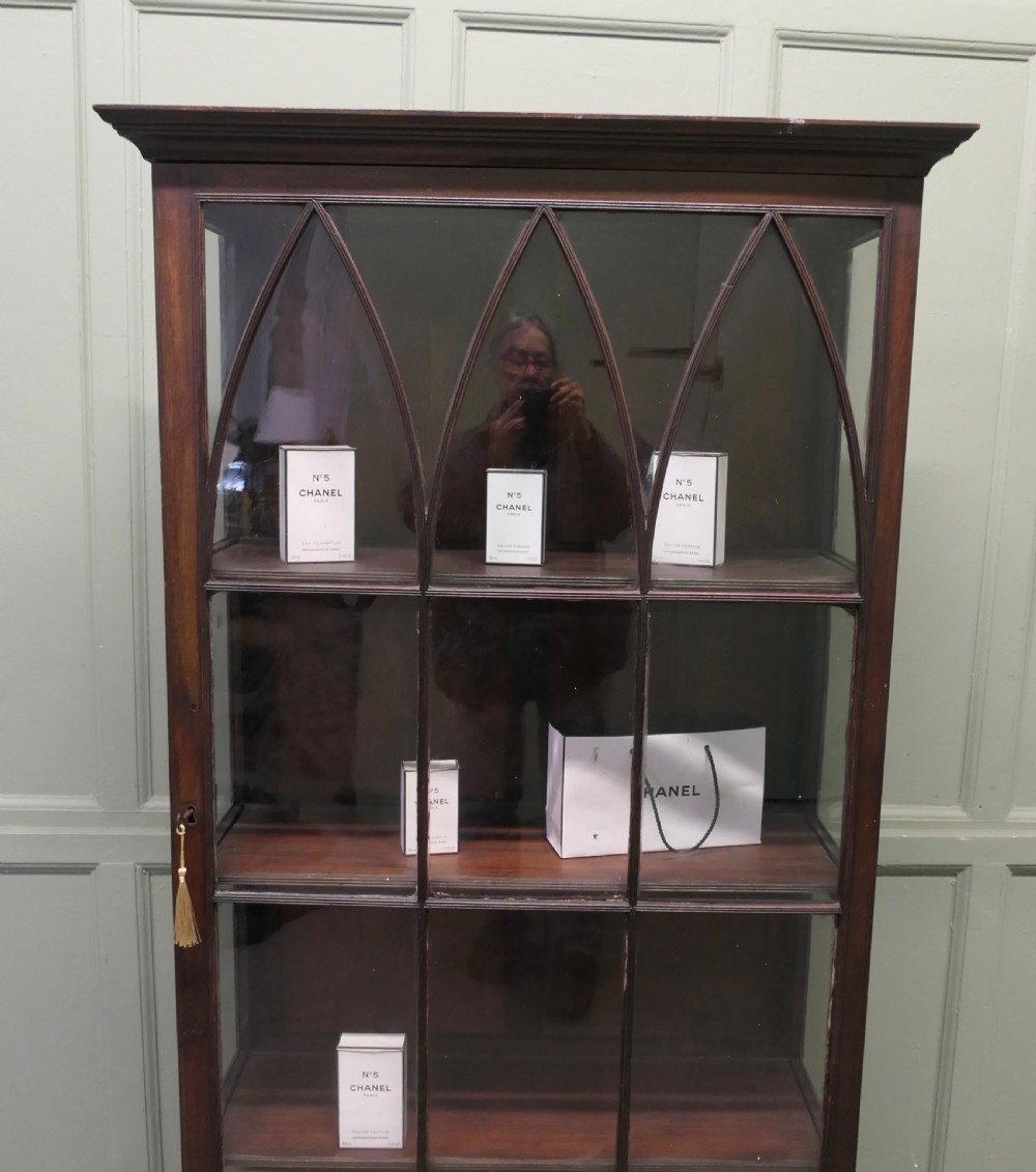 A tall early 19th-century dark mahogany bookcase with Gothic arched glazed doors and bracket feet. View VI