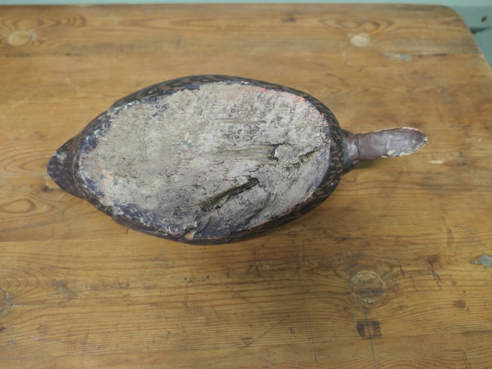 Alternate View