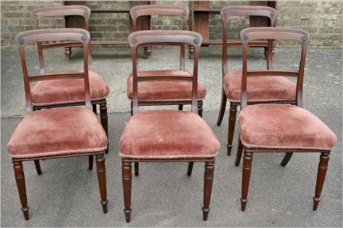 George 1v Goncalo Alves Set of 6 Dining Chairs.

