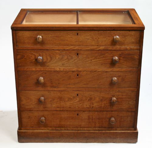 Victorian Mahogany 4 Drawer Display Chest