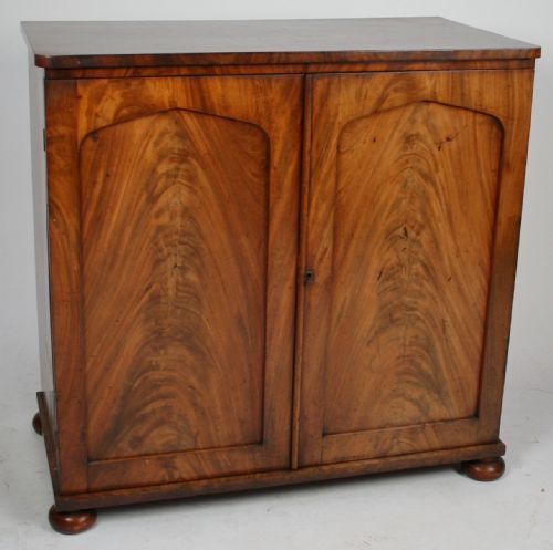 William IV Mahogany 2 Door Side Cabinet